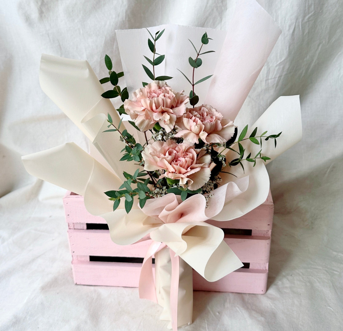 Chio Carnations (Caramel)