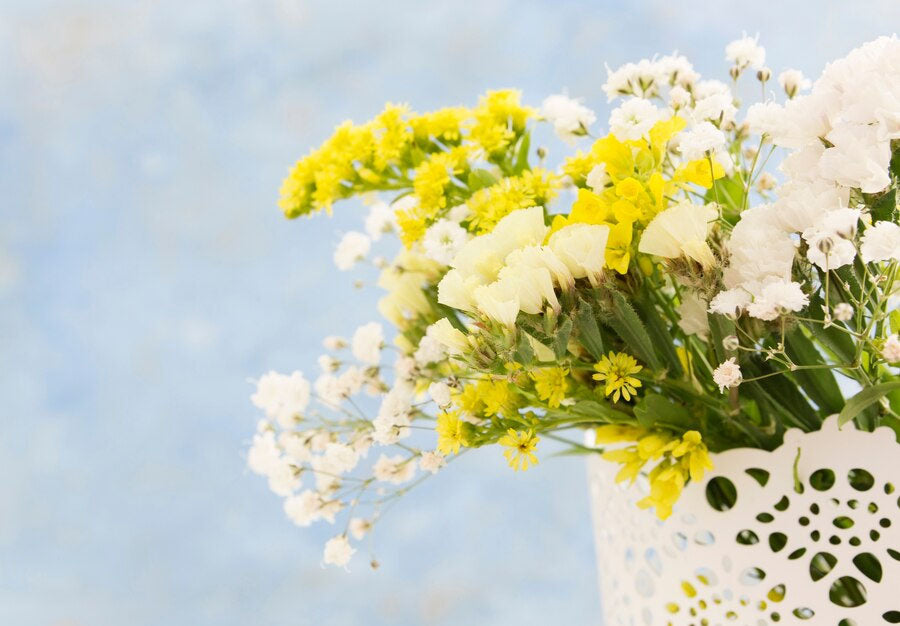 15 Flowers That Symbolise New Beginnings And Fresh Starts