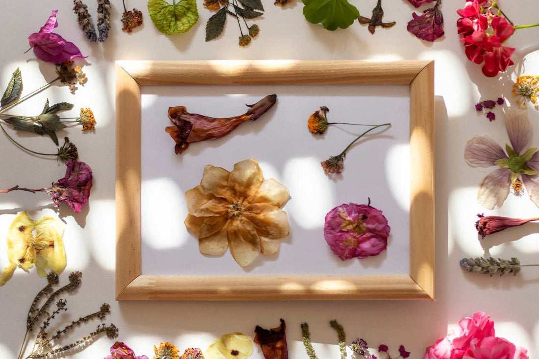 What To Do With Pressed Flowers