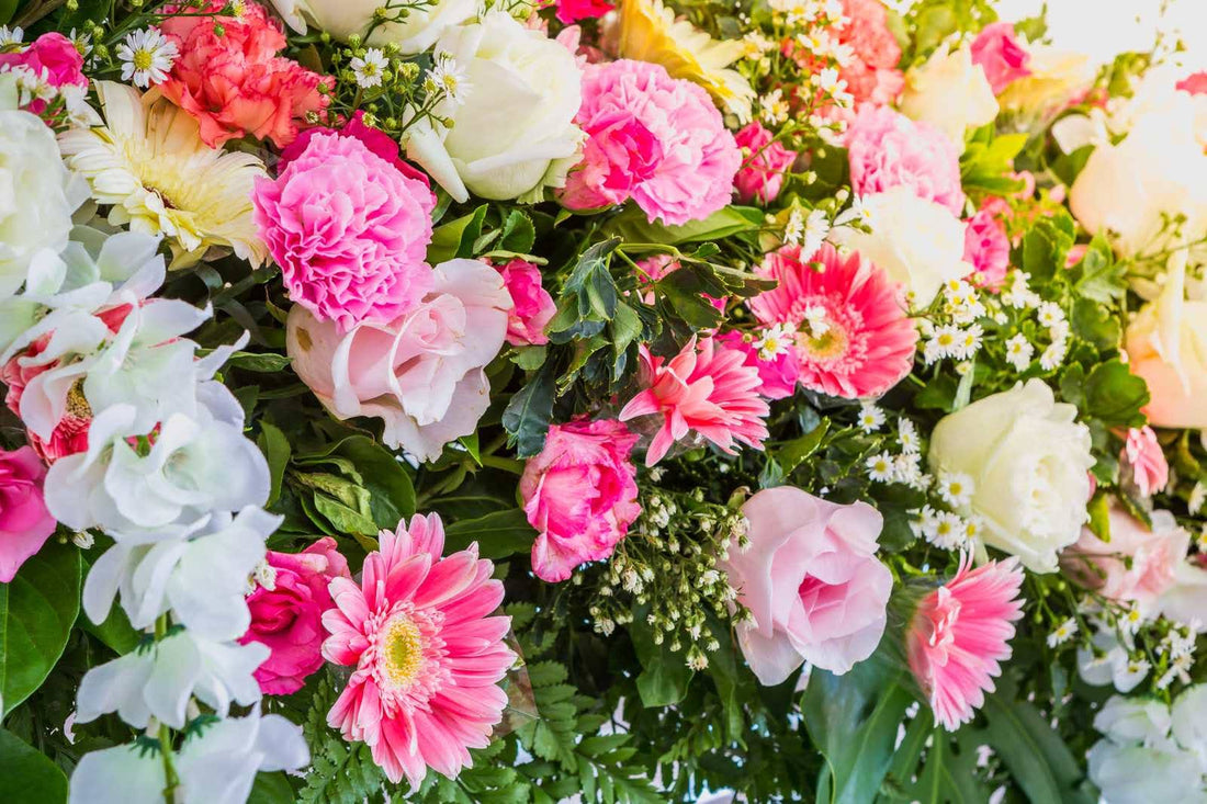 Zodiac Signs As Flowers: The Perfect Bloom for Every Sign